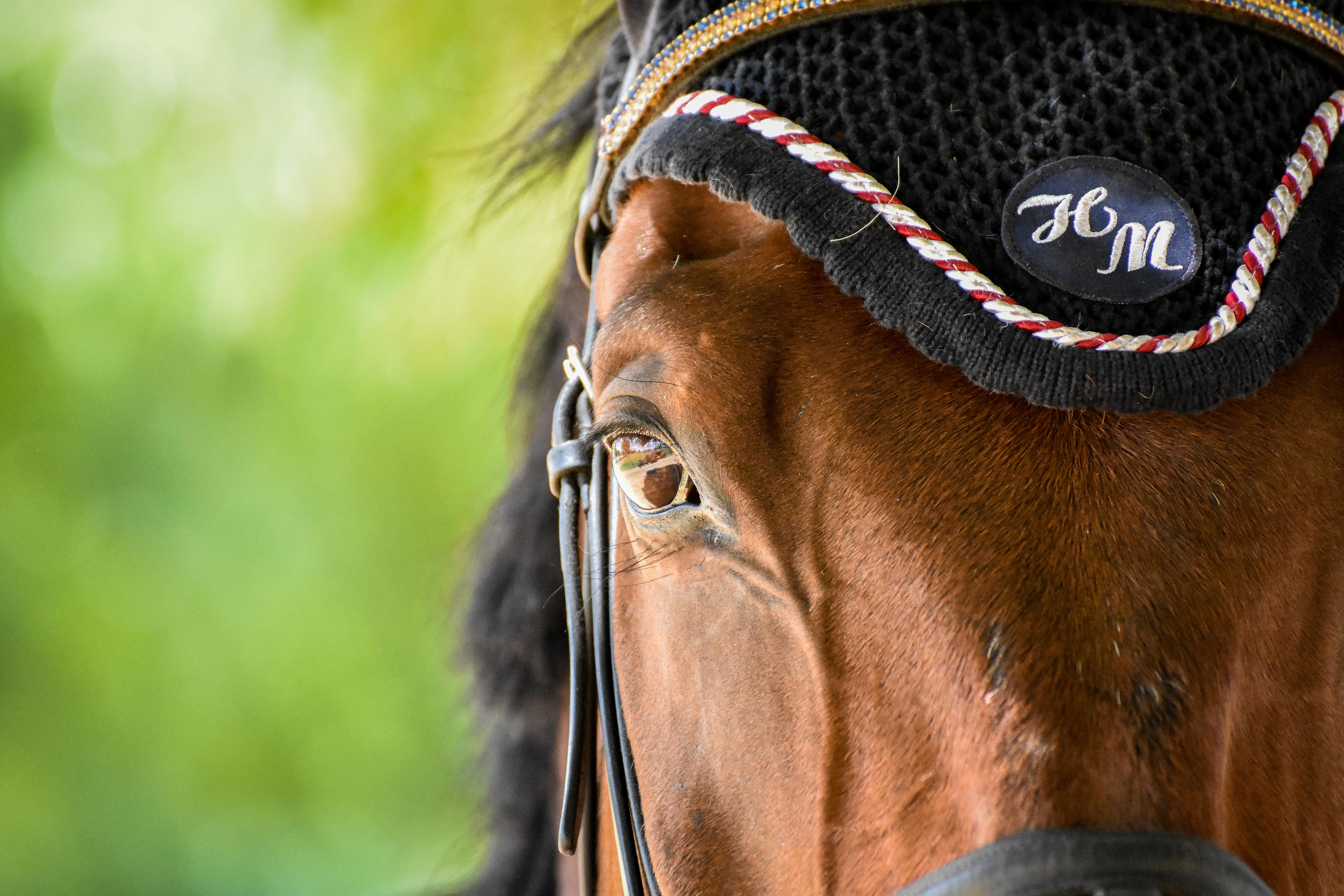 5 tips to beat the jump-off clock