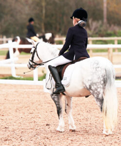 A child riding a small grey pony in an arena - HQ Pony Magazine