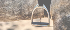 Stirrup bar hanging by the belly of a grey horse - HQ Pony Magazine