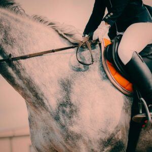 Rider on a grey horse with an orange saddle pad - HQ Pony Magazine