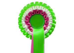 Pink, green and white rosette on a white background - HQ Pony Magazine