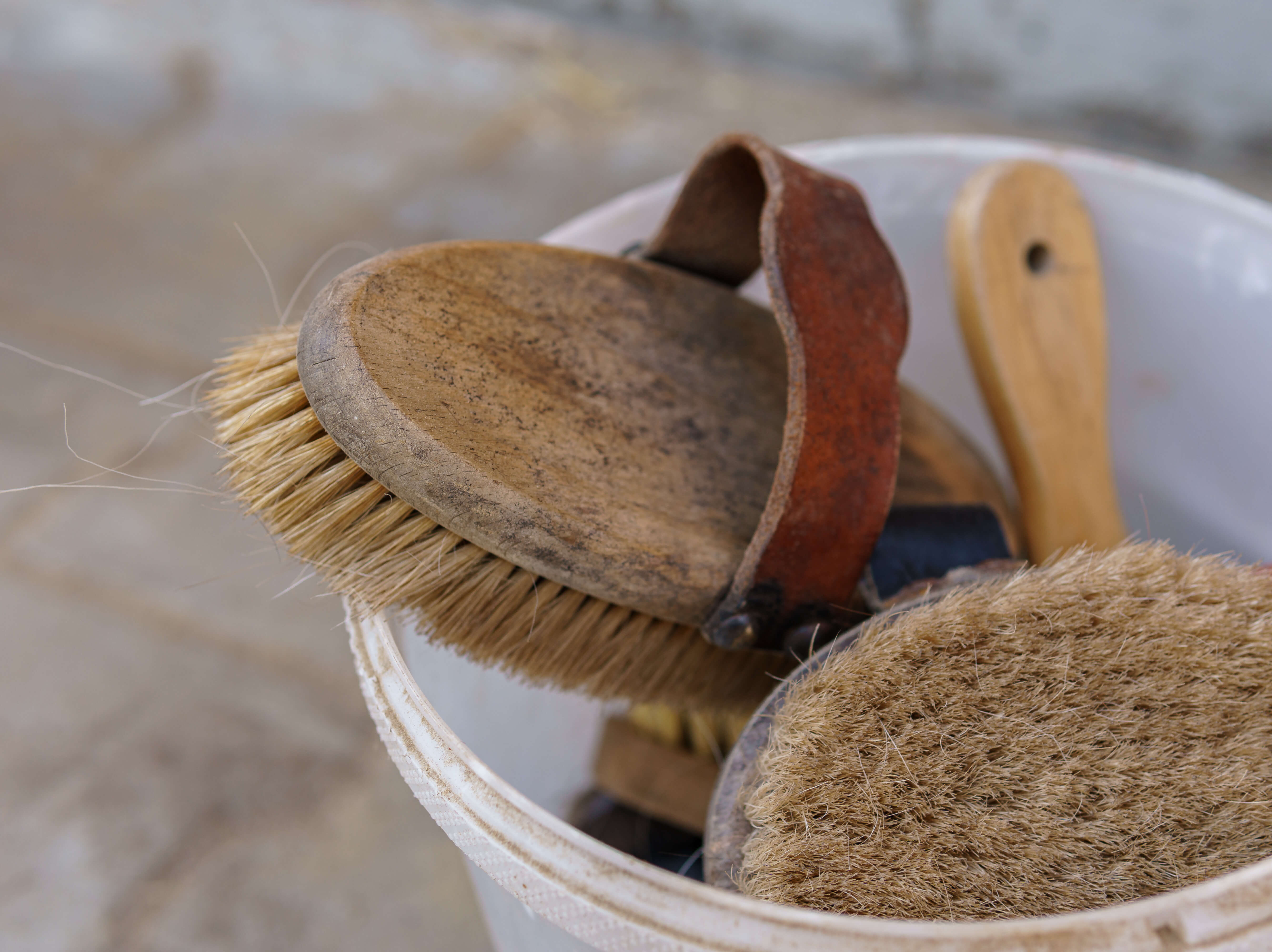 Grooming brushes in a bucket - HQ Pony Mag