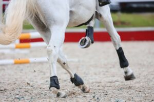 A picture of a grey horse cantering showing his hooves moving towards a jump - HQ Pony Magazine