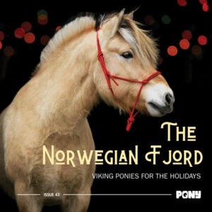A title image for an article about the Norwegian Fjord