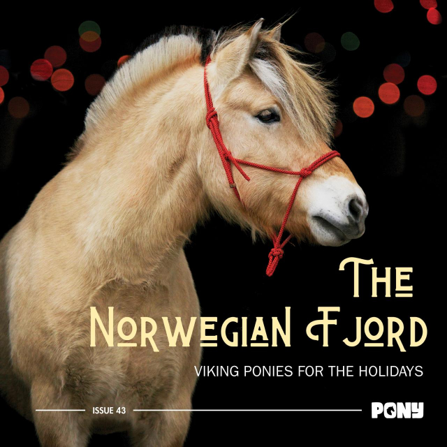 A title image for an article about the Norwegian Fjord