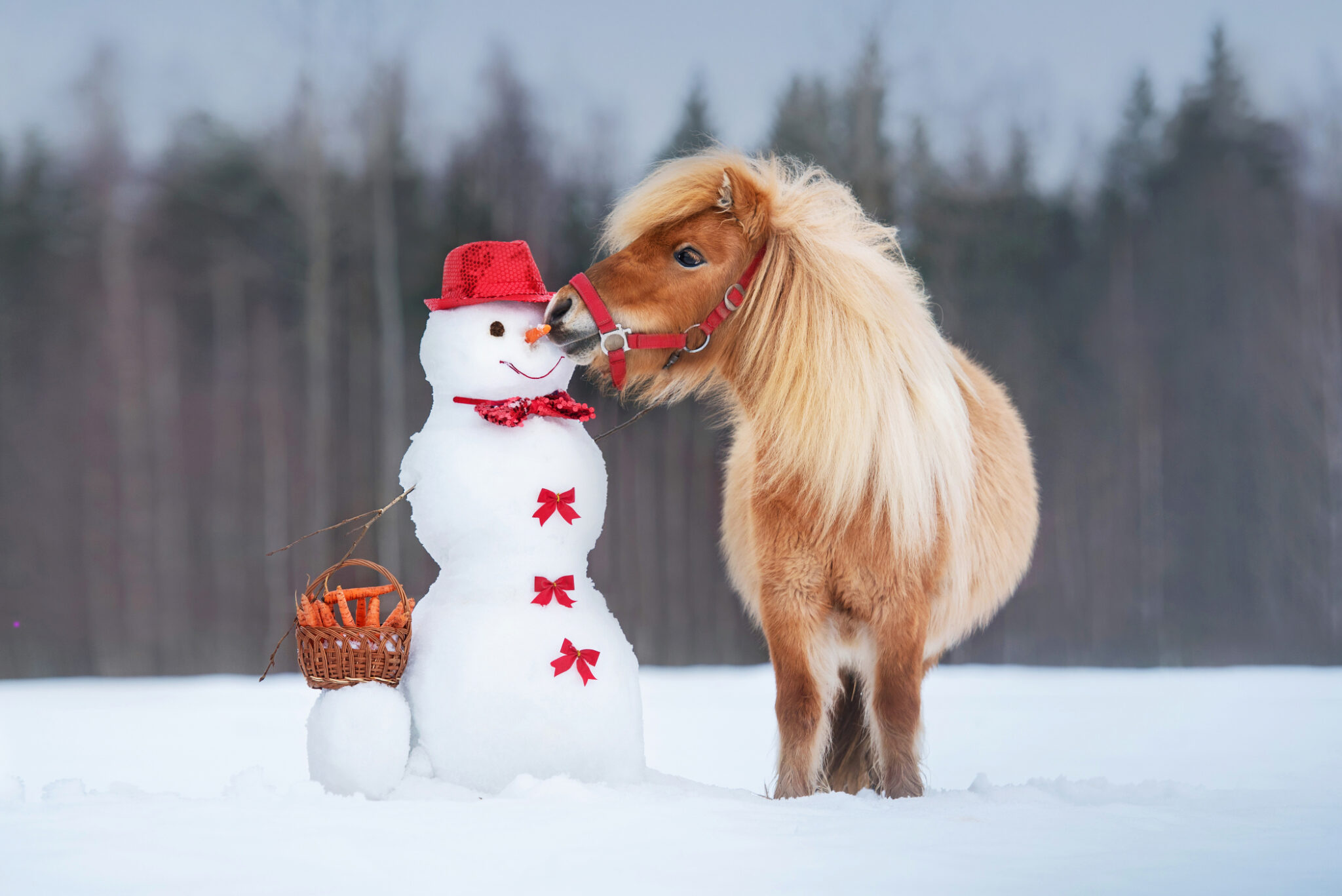 A small chestnut shetland pony standing in a snowy forest next to a snowman with a basket of carrots
