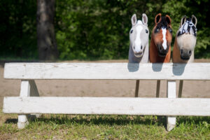 Three hobby horses behind a white fence all looking towards the camera, ready to be taken into the arena