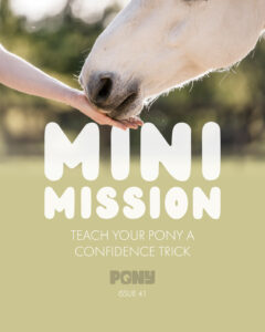 A title image for our article on mini mission which focuses on teaching your pony a confidence trick