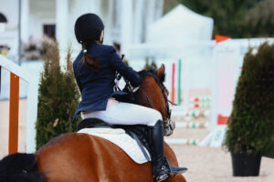 A close up image from behind a rider and her bay pony competing at a horse show in show gear with a course set up in the background
