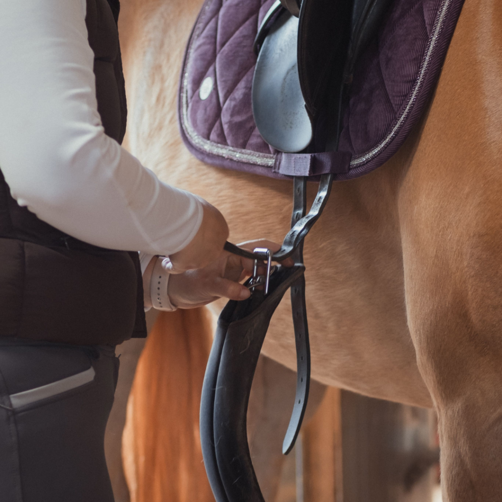 Work rider doing up the girth on her pony.